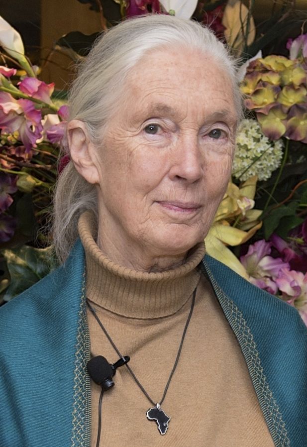 Jane_Goodall_2015