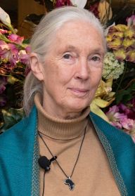 Jane_Goodall_2015