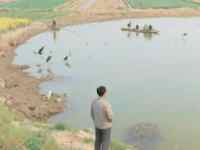 Finless Porpoises, Migratory Birds, Fishermen — Swimming Upstream Along the Mother River, Documenting Life Amid Climate Change